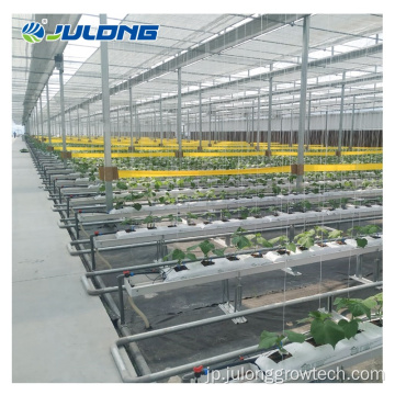 NFT Hydroponic Channel Hydroponic温室機器